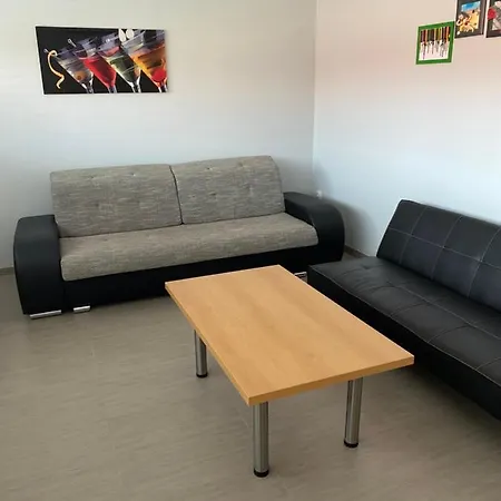 Apartman Hustopece 아파트 *